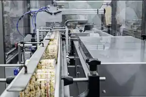 Packaging conveyor and horizontal wrapping equipment